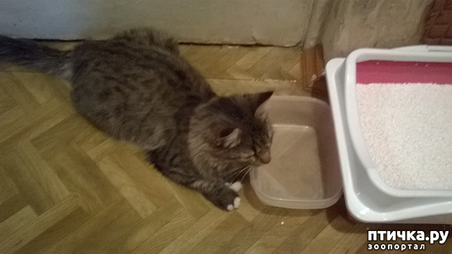 ���� 4: ���������! ��� � ��� ��������!