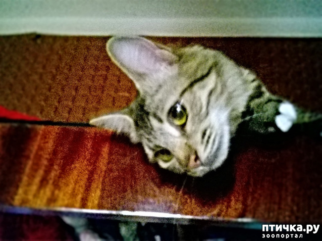 ���� 19: ���������! ��� � ��� ��������!