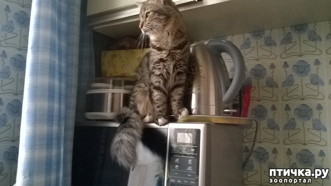 ���� 12: ���������! ��� � ��� ��������!