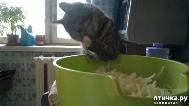 ���� 15: ���������! ��� � ��� ��������!