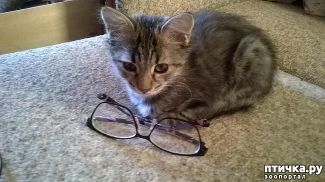 ���� 9: ���������! ��� � ��� ��������!