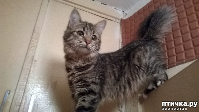 ���� 13: ���������! ��� � ��� ��������!