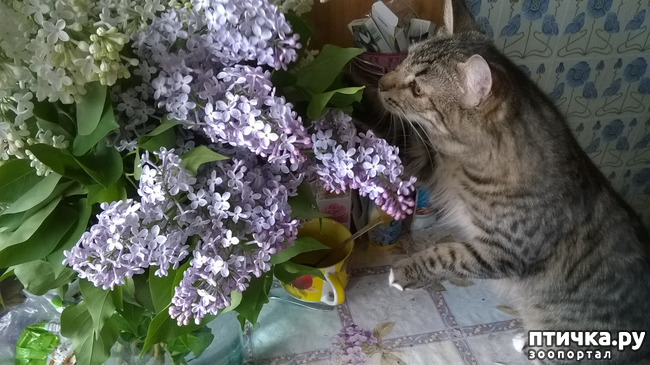 ���� 16: ���������! ��� � ��� ��������!