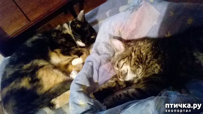 ���� 11: ���������! ��� � ��� ��������!