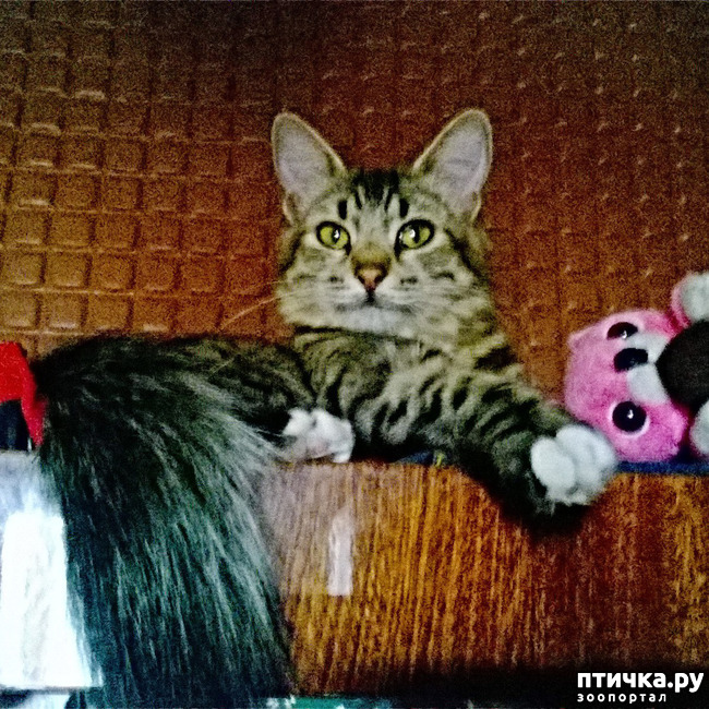 ���� 20: ���������! ��� � ��� ��������!