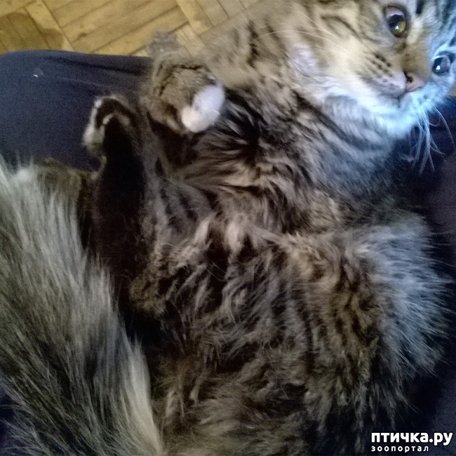 ���� 14: ���������! ��� � ��� ��������!