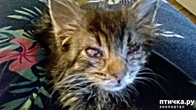 ���� 6: ���������! ��� � ��� ��������!