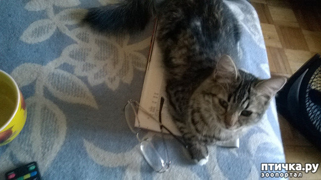 ���� 17: ���������! ��� � ��� ��������!