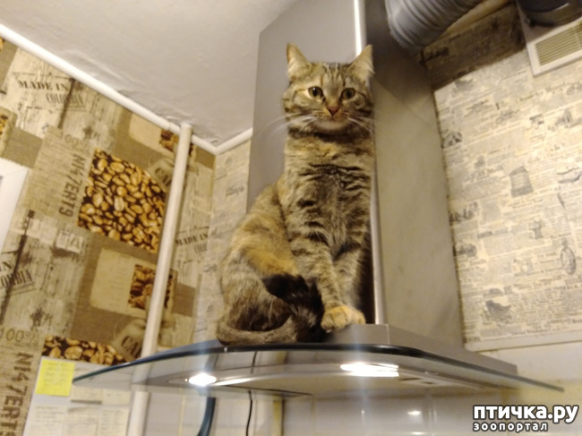 ���� 1: ���������.