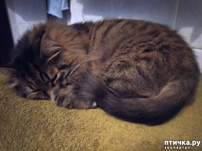 ���� 2: ���������.