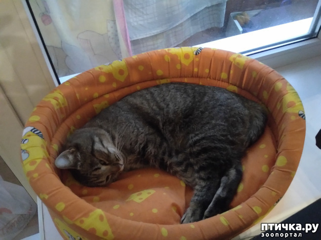 ���� 3: ���������.