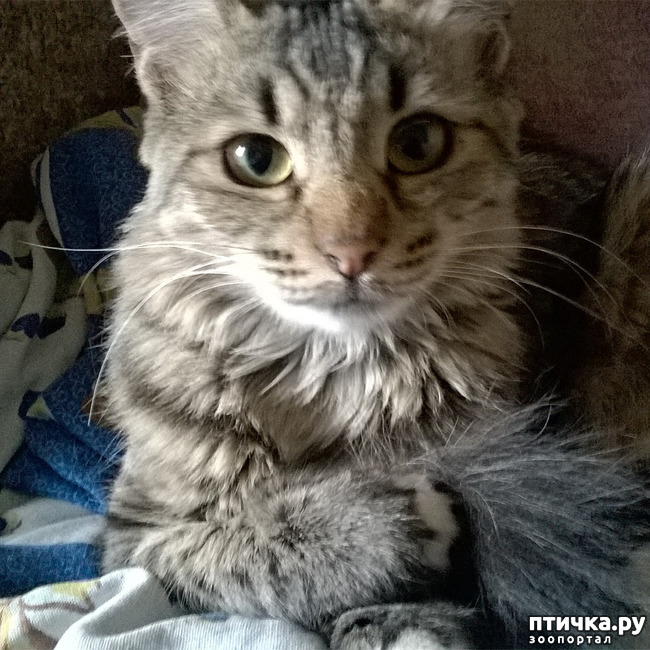 ���� 26: ���������! ��� � ��� ��������!