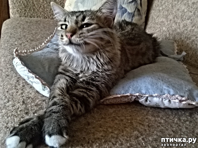 ���� 25: ���������! ��� � ��� ��������!