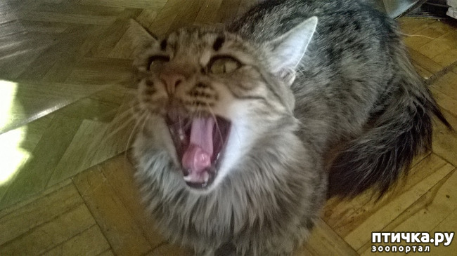 ���� 24: ���������! ��� � ��� ��������!