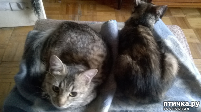 ���� 21: ���������! ��� � ��� ��������!