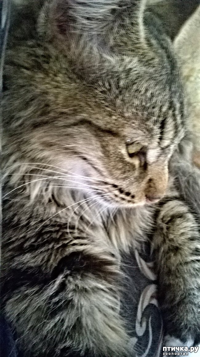 ���� 23: ���������! ��� � ��� ��������!