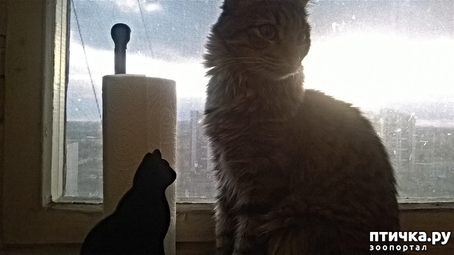 ���� 22: ���������! ��� � ��� ��������!