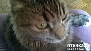 фотография: Пульхерия! Вот и год пролетел! фото: Пульхерия! Вот и год пролетел!