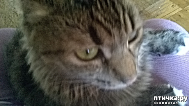 ���� 1: ���������! ��� � ��� ��������!