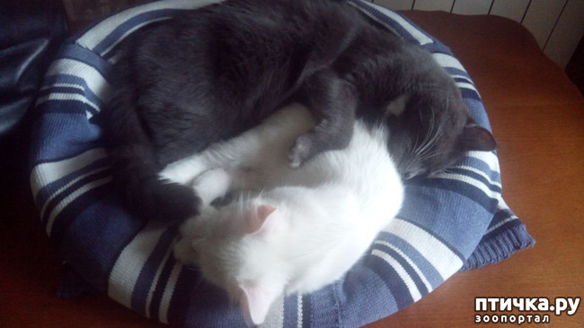 ���� 2: ������ ��� ������ ������