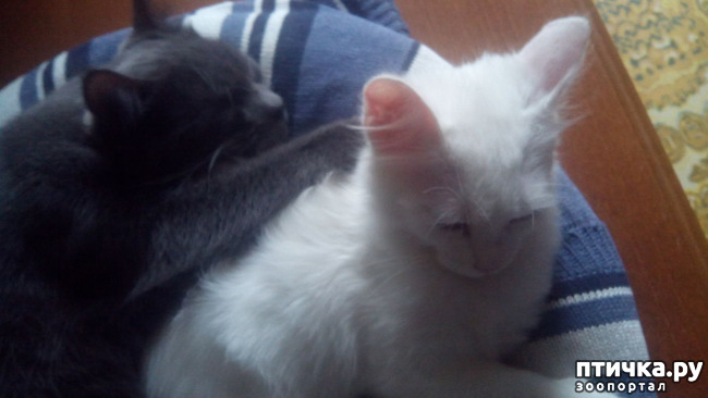 ���� 3: ������ ��� ������ ������