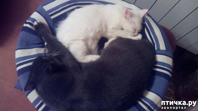 ���� 5: ������ ��� ������ ������