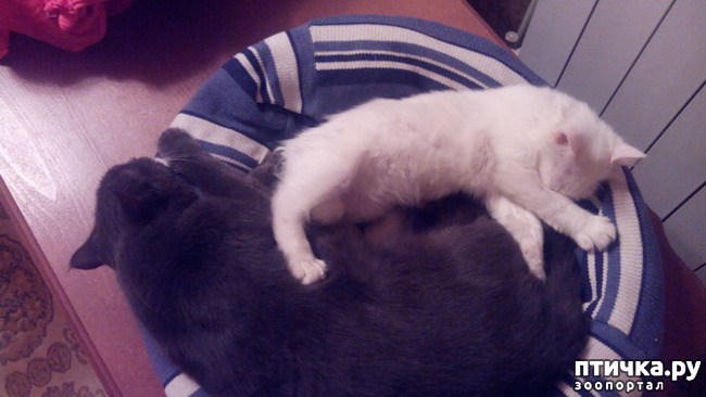 ���� 7: ������ ��� ������ ������