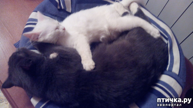 ���� 8: ������ ��� ������ ������