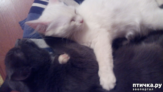 ���� 9: ������ ��� ������ ������