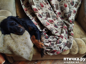 фотография: А мы такие отдыхаем. Дубль два. фото: А мы такие отдыхаем. Дубль два.