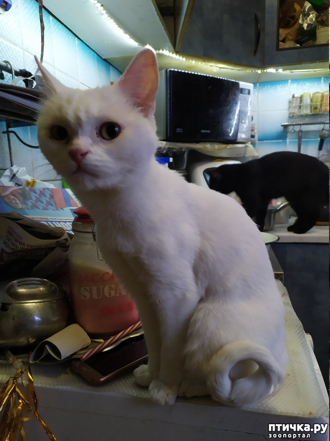 ���� 1: ����������, ��� �����.