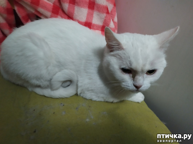 ���� 2: ����������, ��� �����.