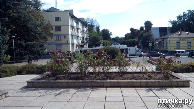 ���� 1: ������� �����