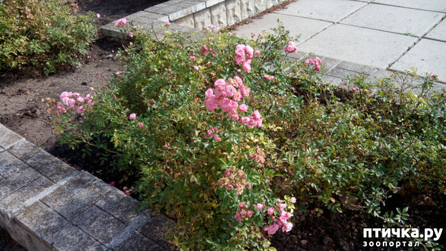 ���� 2: ������� �����