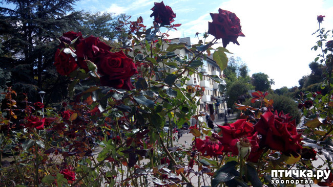 ���� 3: ������� �����