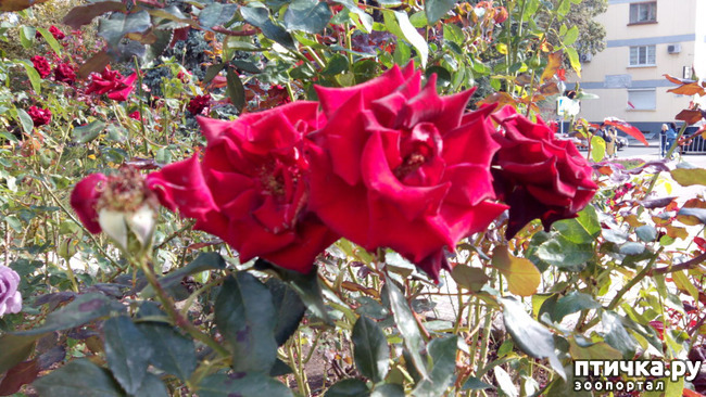 ���� 4: ������� �����