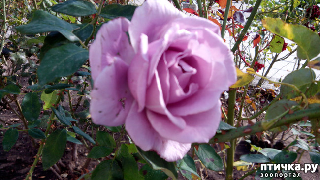 ���� 5: ������� �����