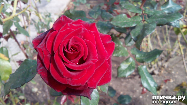 ���� 6: ������� �����