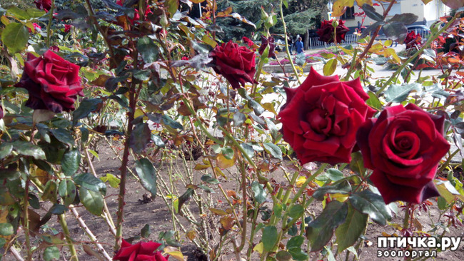 ���� 7: ������� �����