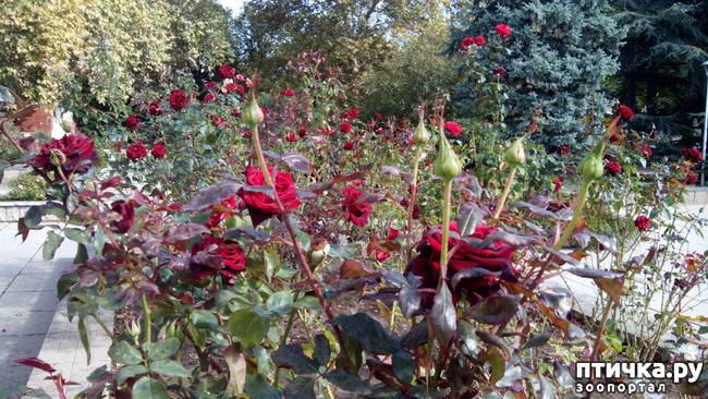 ���� 8: ������� �����