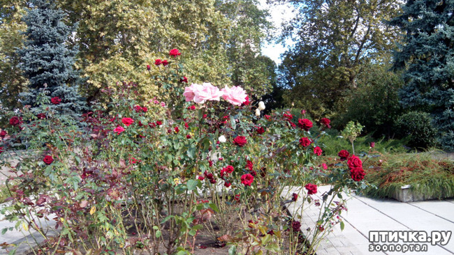 ���� 9: ������� �����