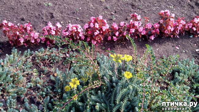 ���� 10: ������� �����