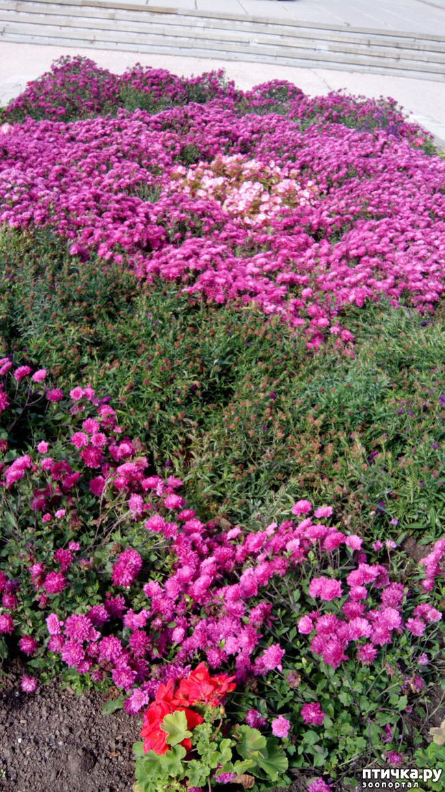 ���� 11: ������� �����