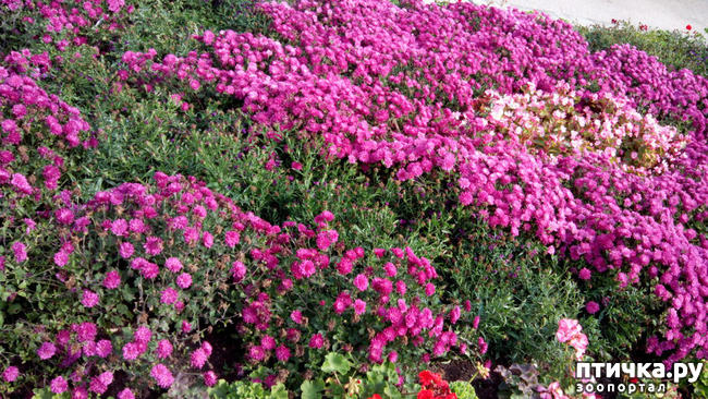 ���� 12: ������� �����