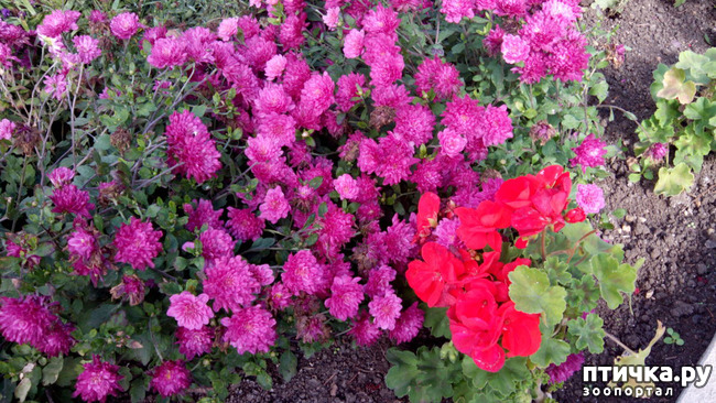 ���� 13: ������� �����