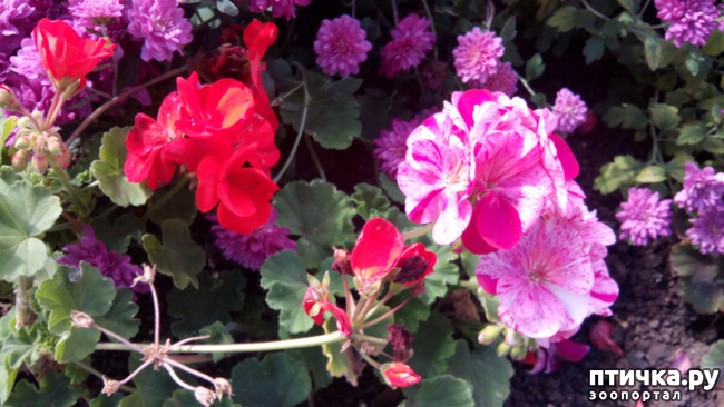 ���� 14: ������� �����