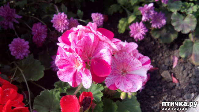 ���� 15: ������� �����