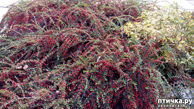 ���� 16: ������� �����