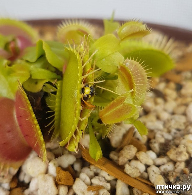 ���� 1: ����� �� ������ ���� �������.