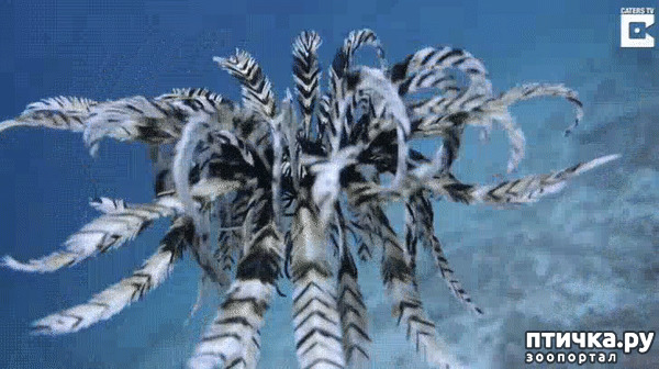 ���� 2: ����� �� ������ ���� �������.